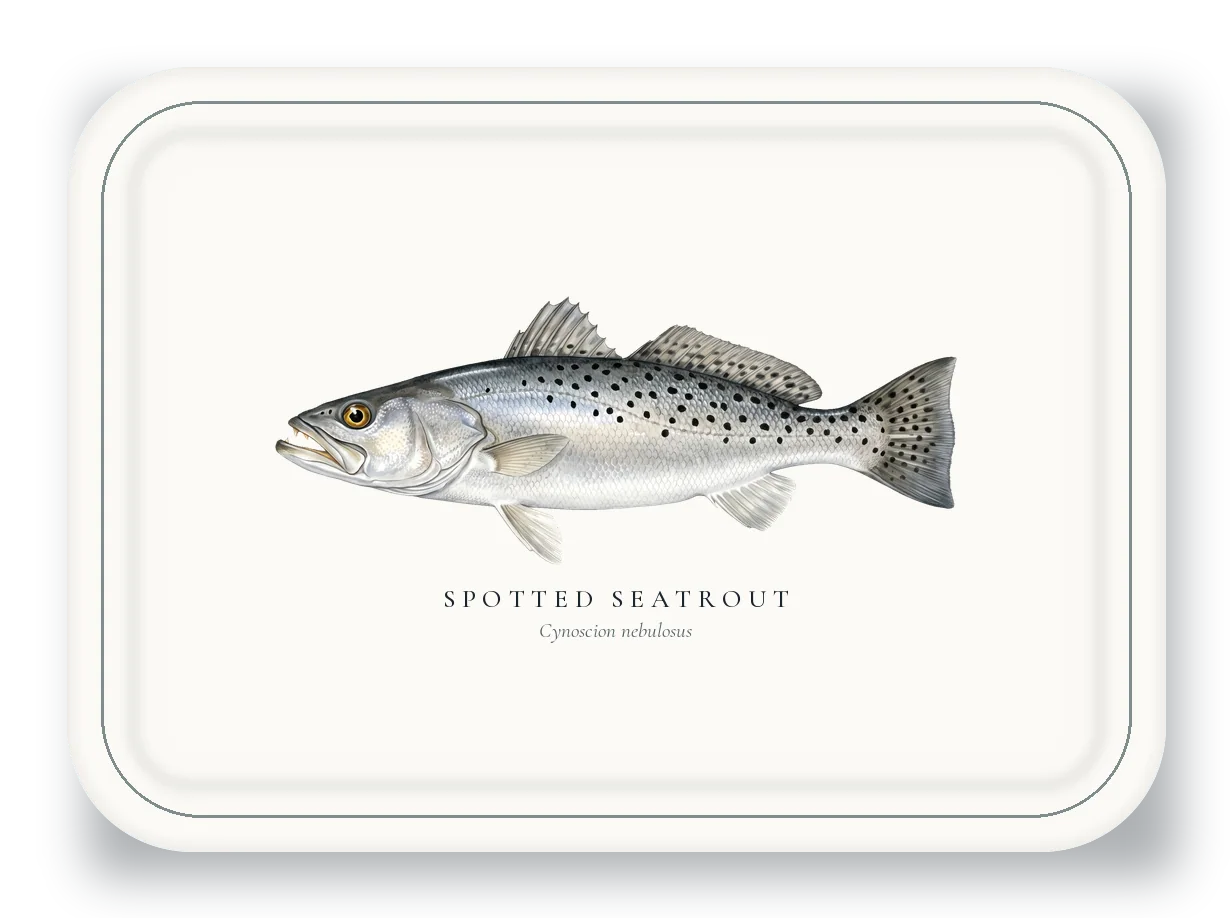 Serving Platter with Spotted Seatrout illustration