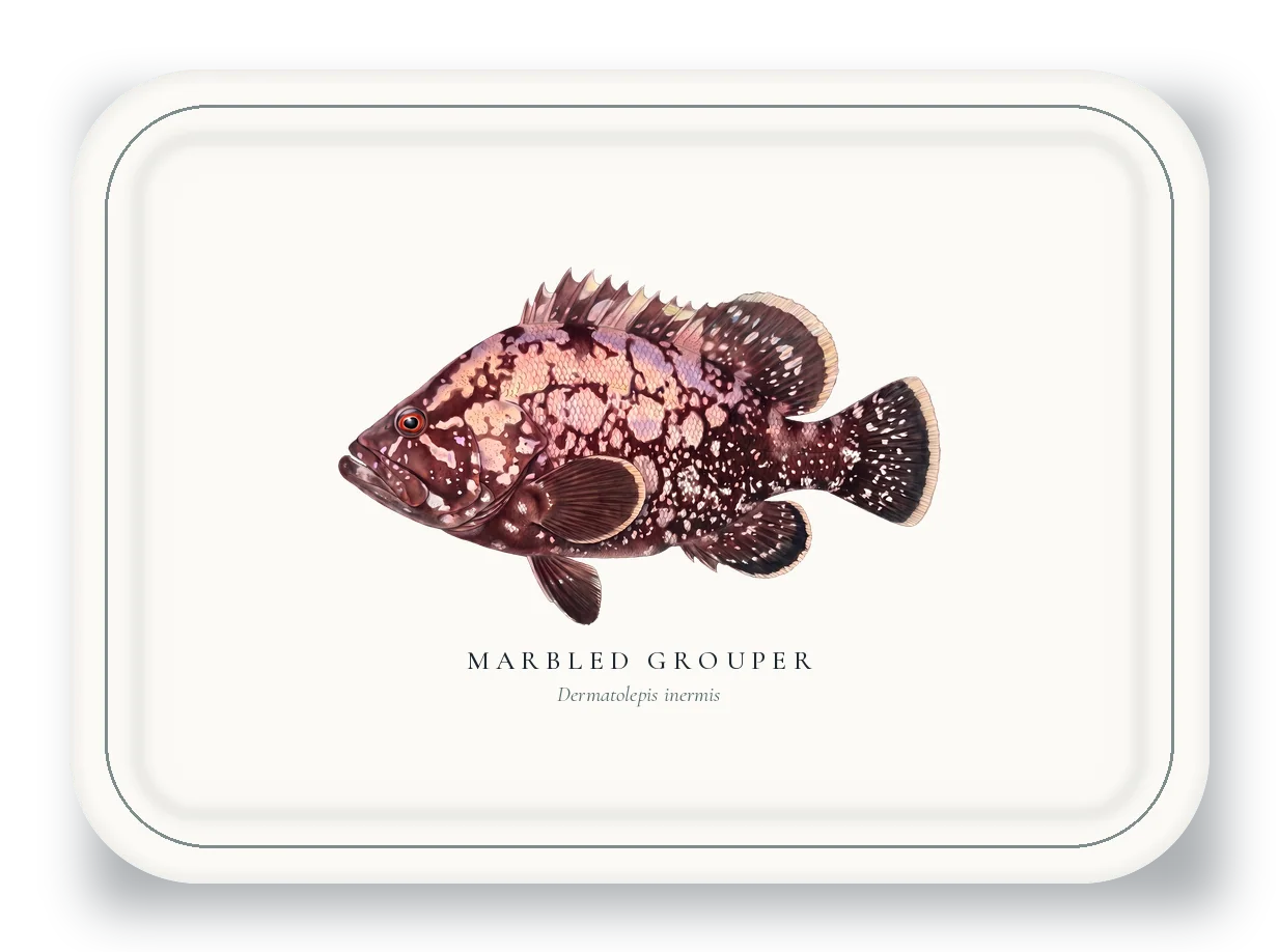 Serving Platter with Marbled Grouper illustration