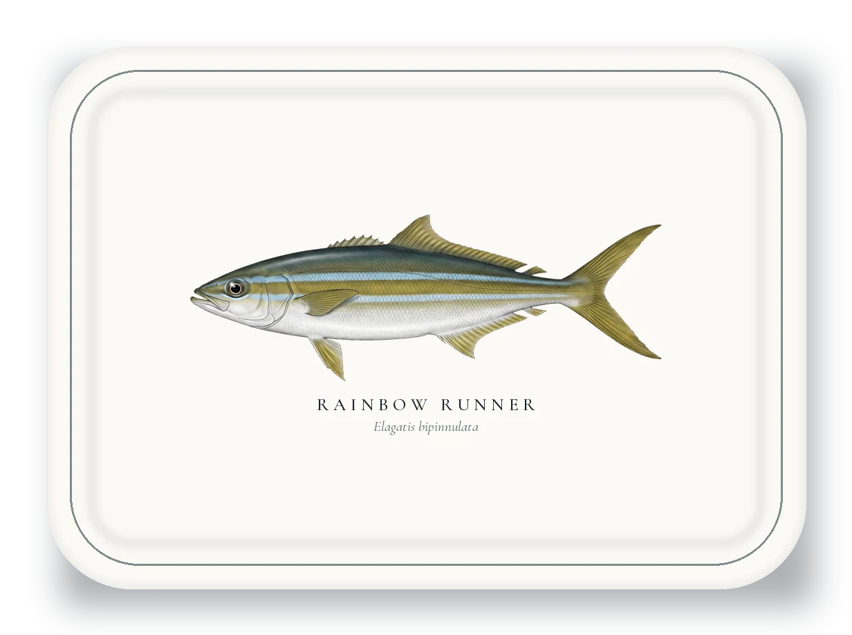Serving Platter with Rainbow Runner illustration