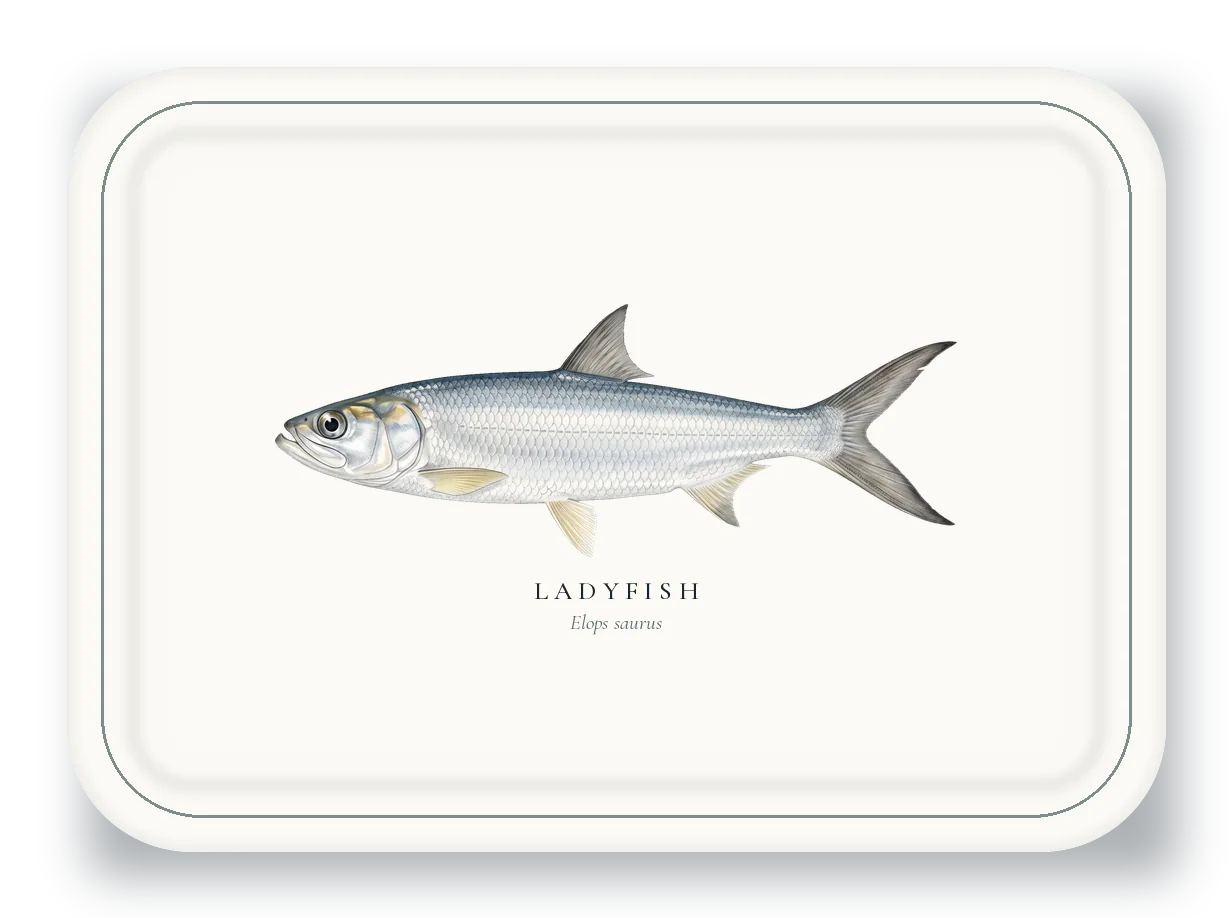 Serving Platter with Ladyfish illustration