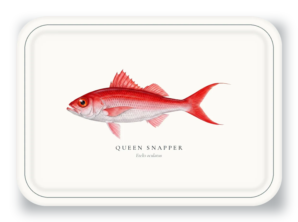 Serving Platter with Queen Snapper illustration