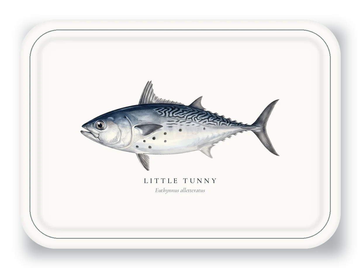 Serving Platter with Little Tunny illustration