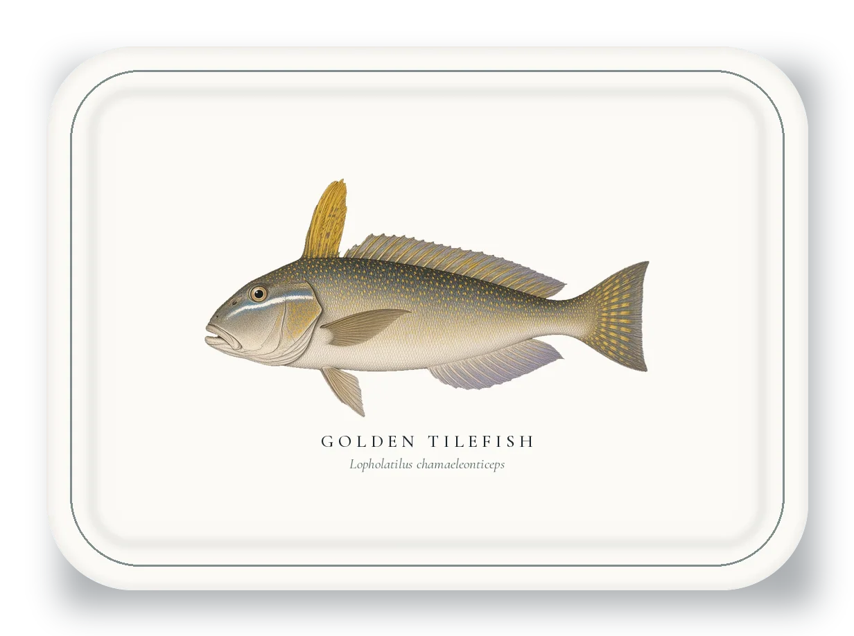 Serving Platter with Golden Tilefish illustration