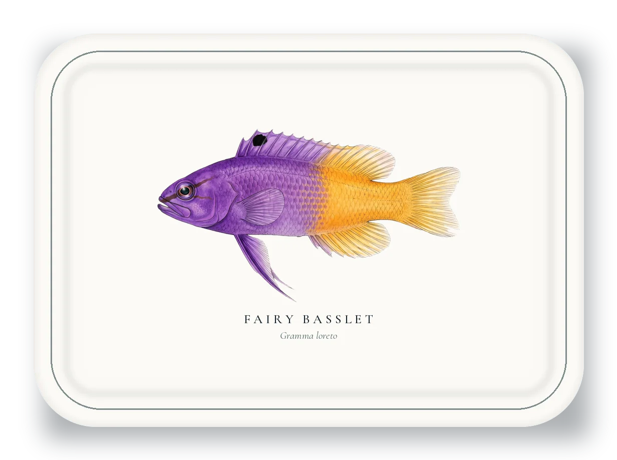 Serving Platter with Fairy Basslet illustration