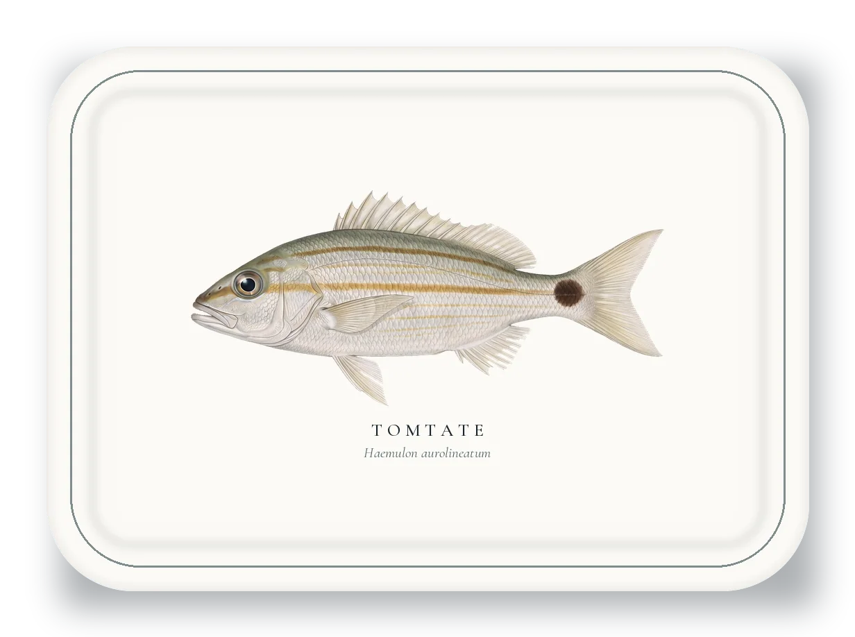 Serving Platter with Tomtate illustration