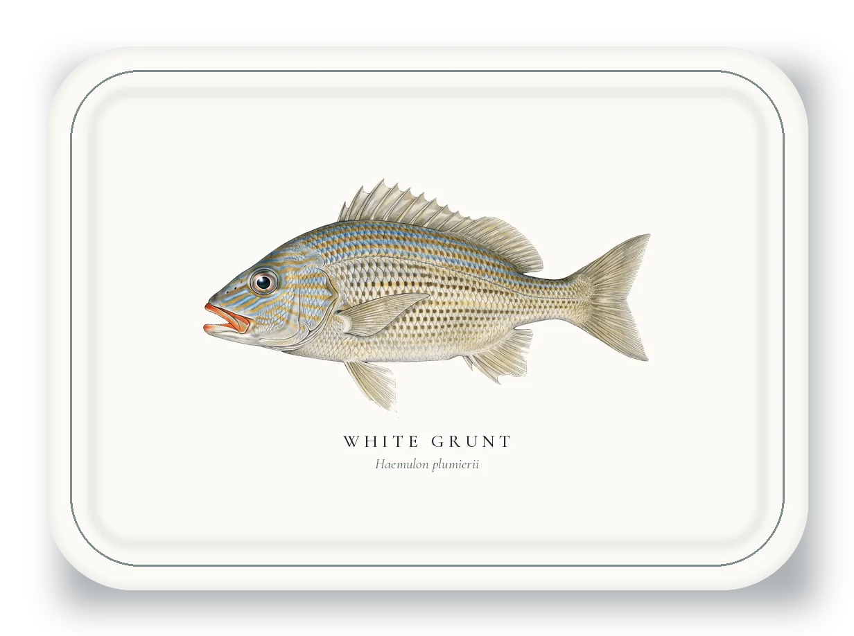 Serving Platter with White Grunt illustration