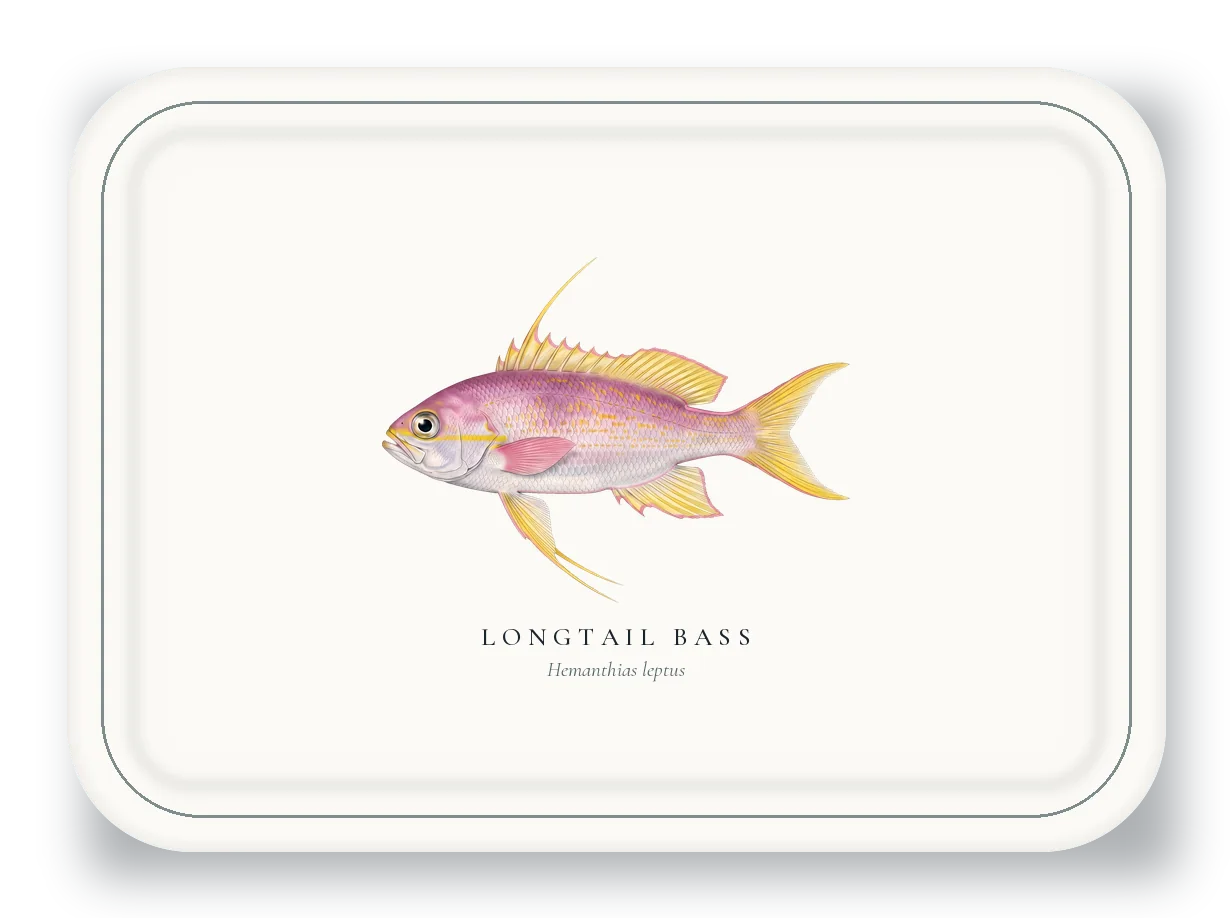 Serving Platter with Longtail Bass illustration