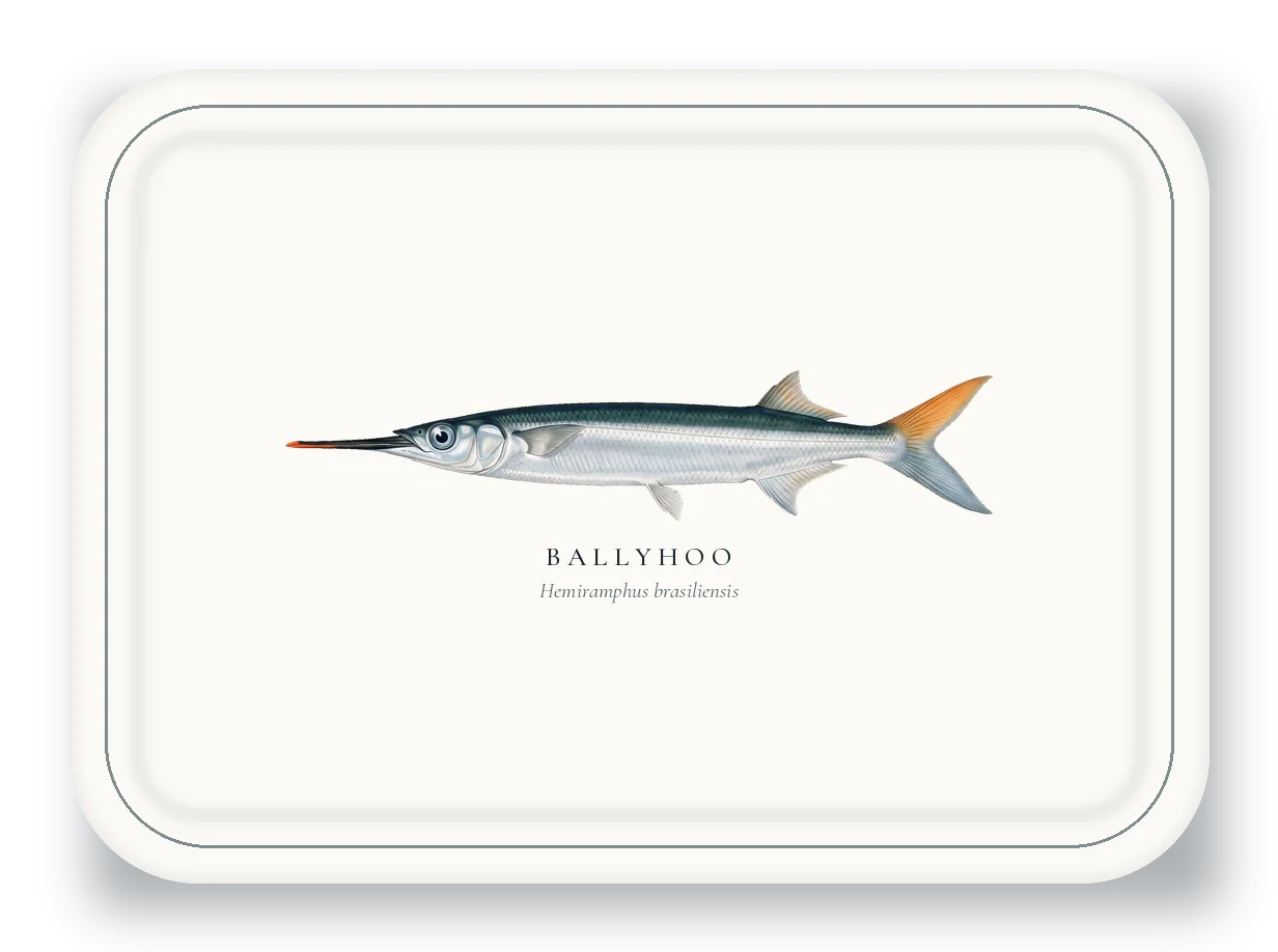 Serving Platter with Ballyhoo illustration