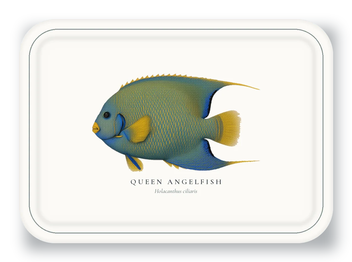 Serving Platter with Queen Angelfish illustration