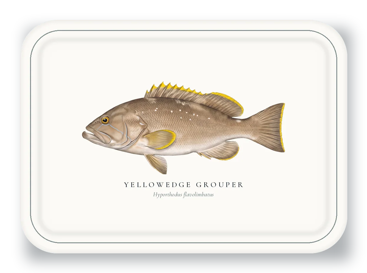 Serving Platter with Yellowedge Grouper illustration