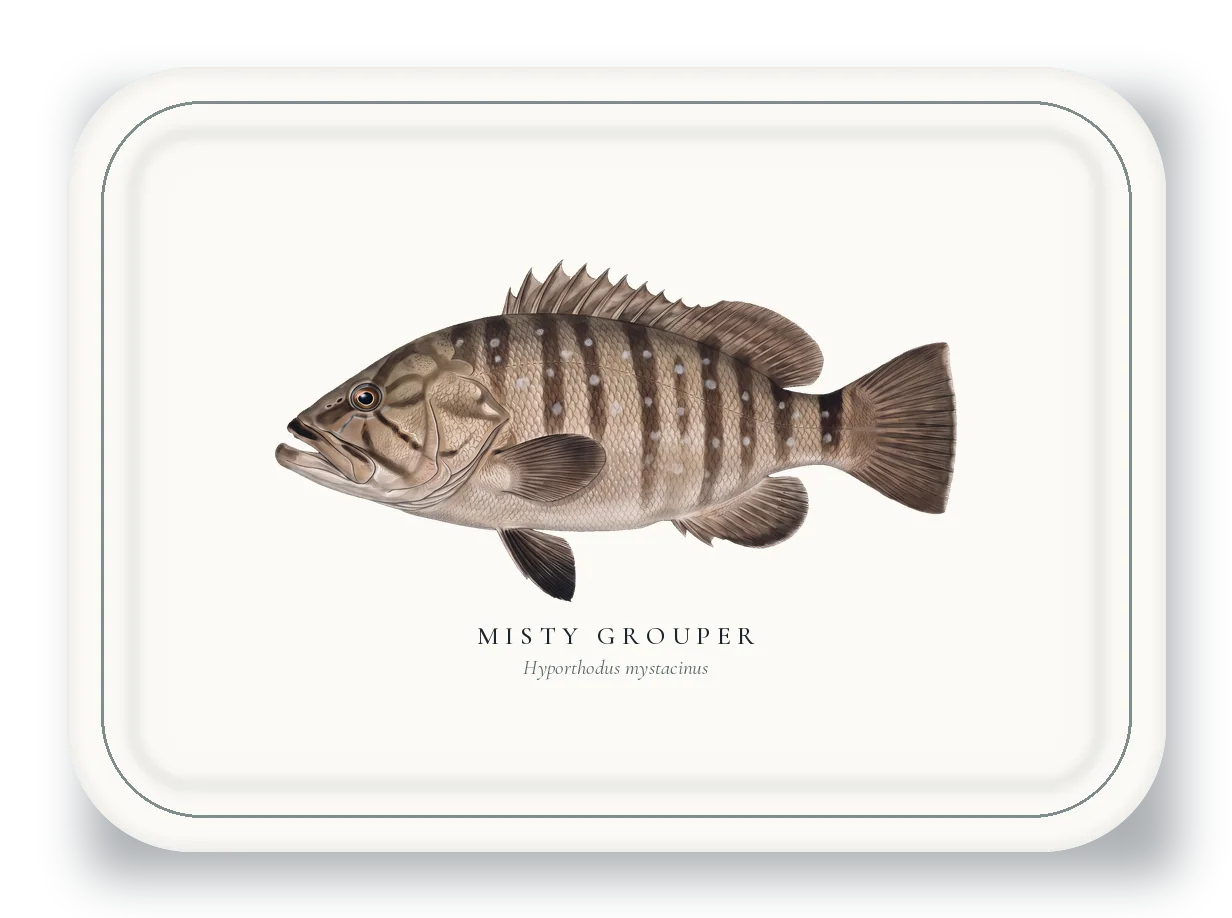 Serving Platter with Misty Grouper illustration