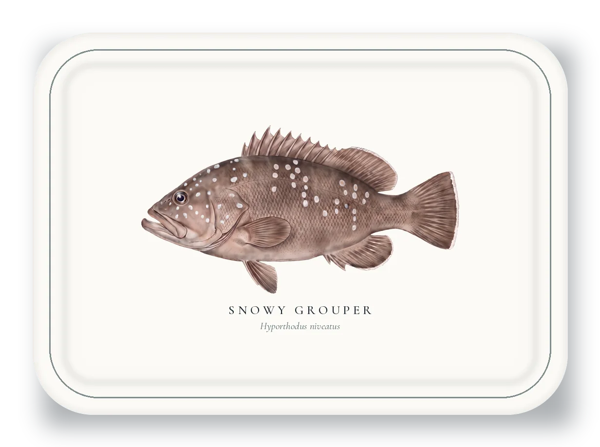 Serving Platter with Snowy Grouper illustration