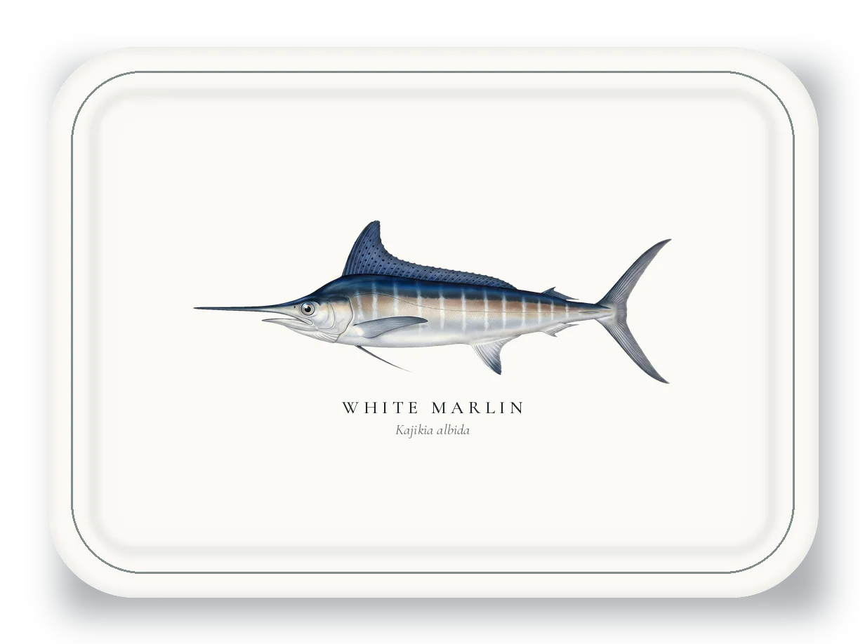 Serving Platter with White Marlin illustration