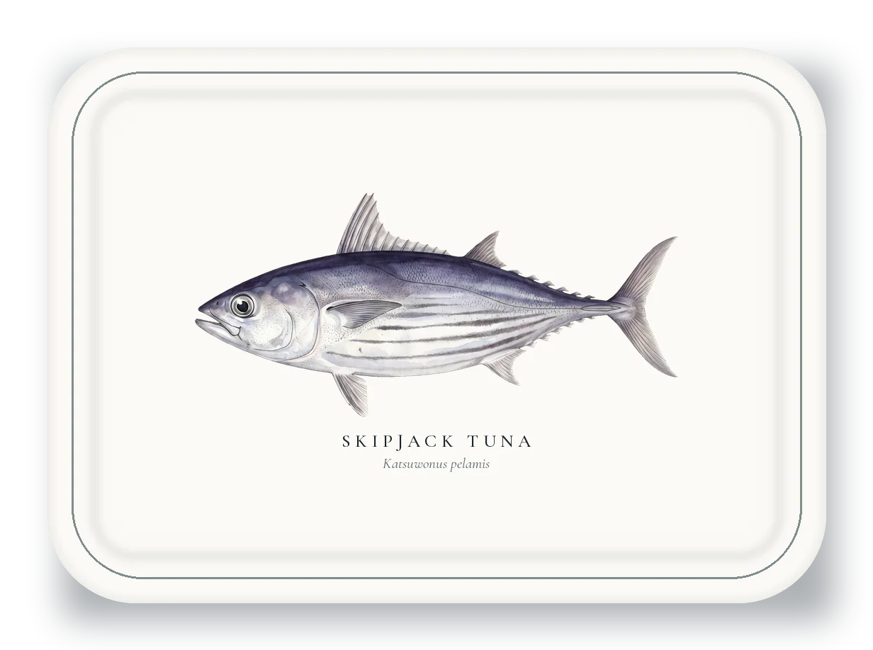 Serving Platter with Skipjack Tuna illustration