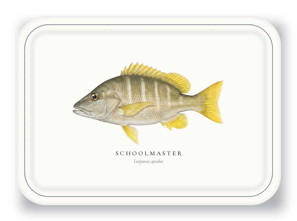 Serving Platter with Schoolmaster illustration
