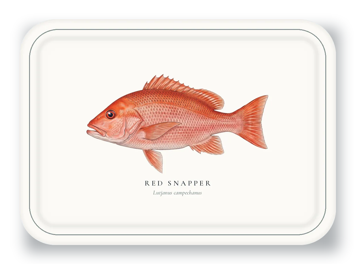 Serving Platter with Red Snapper illustration