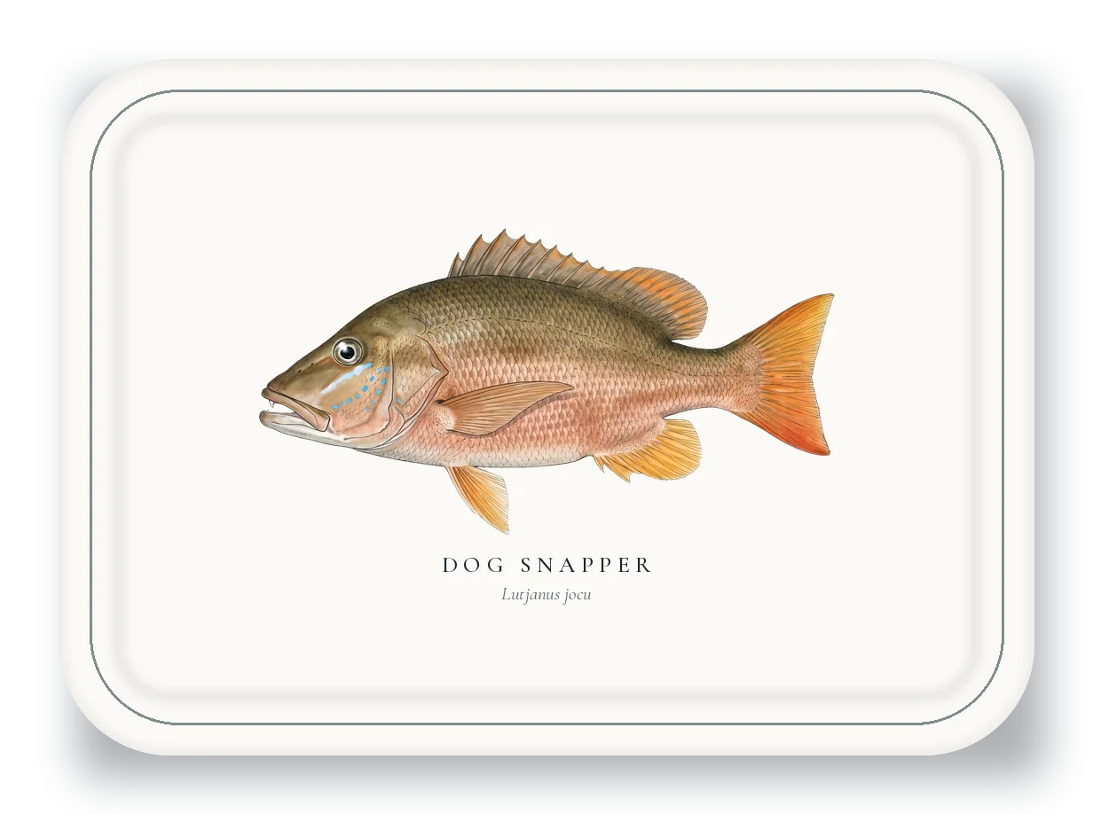 Serving Platter with Dog Snapper illustration