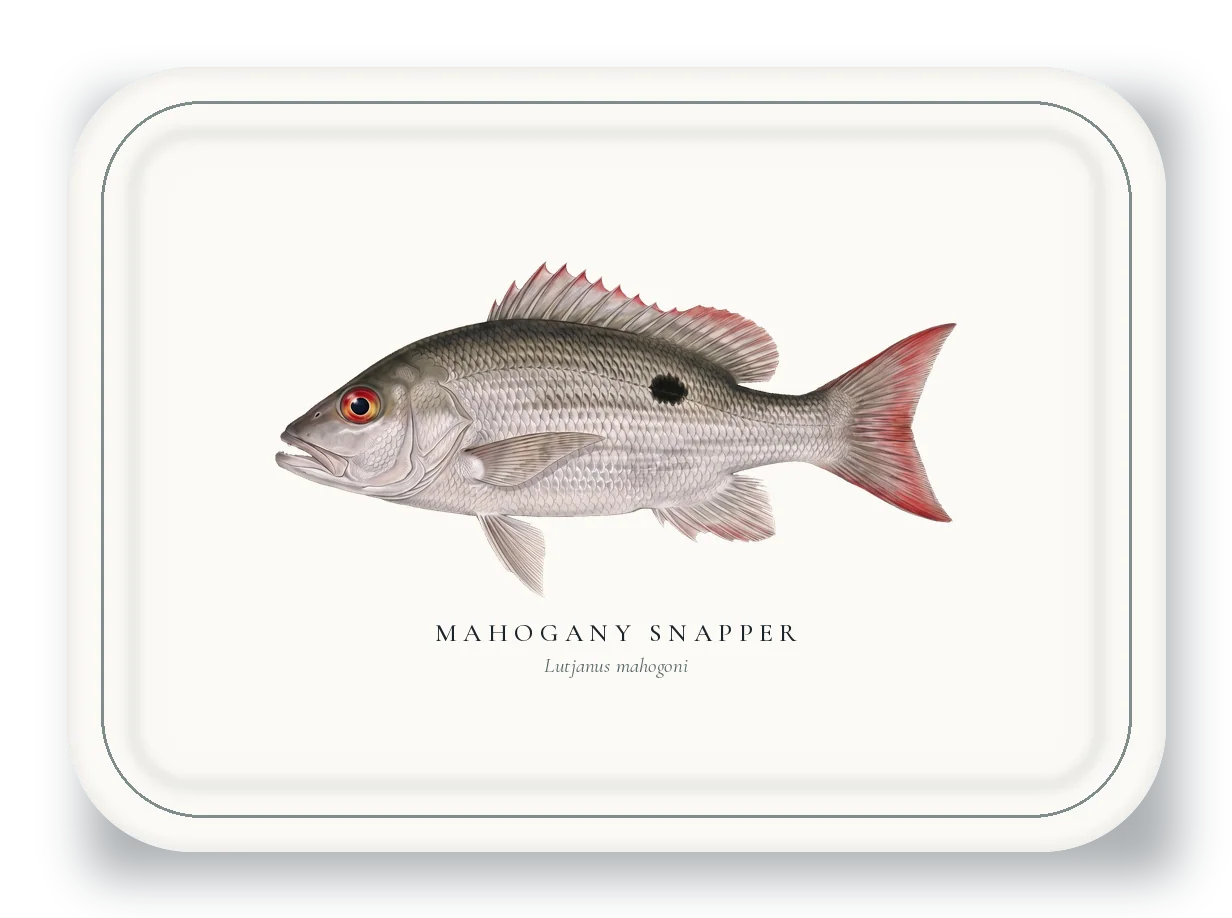 Serving Platter with Mahogany Snapper illustration