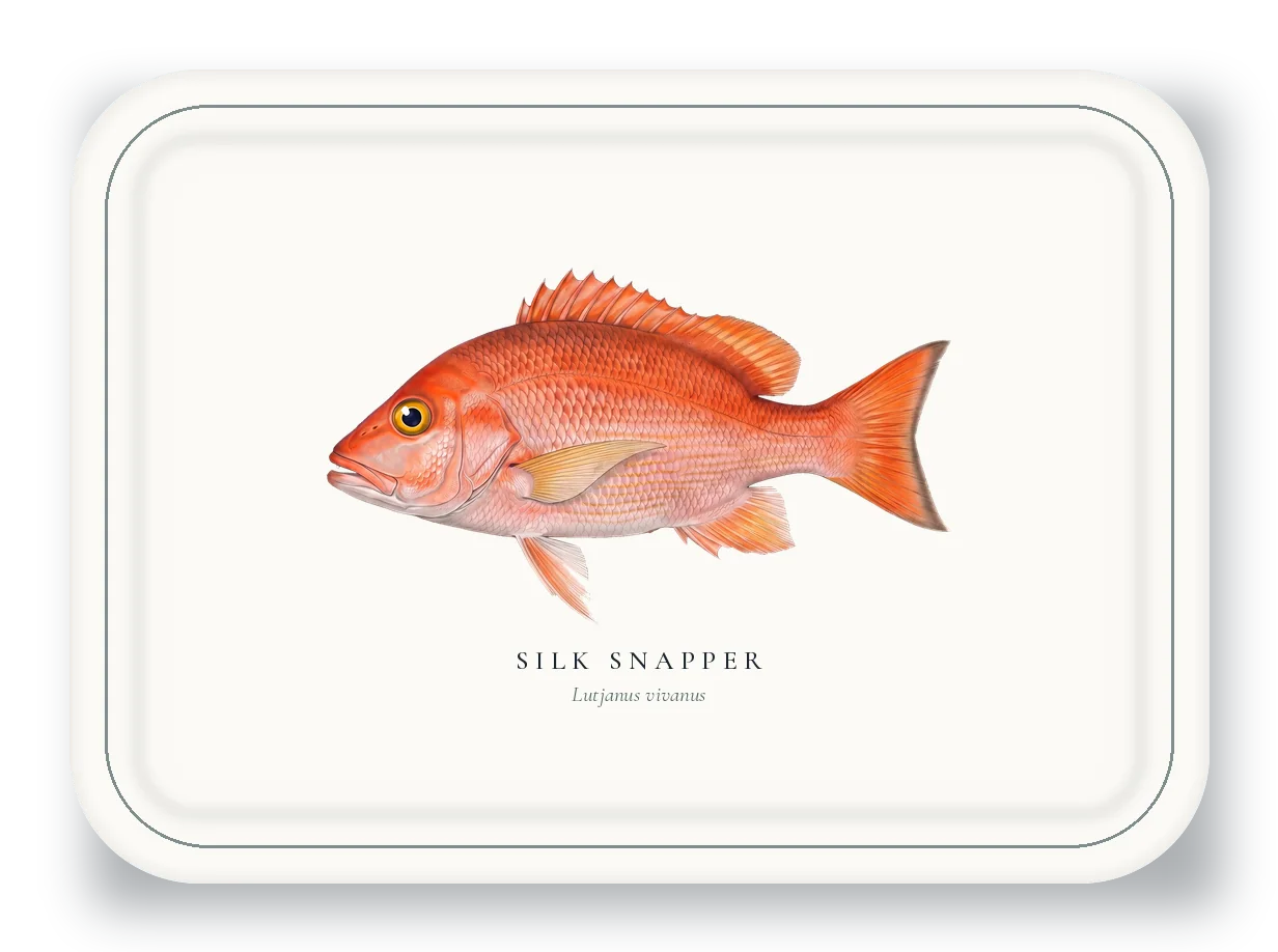 Serving Platter with Silk Snapper illustration