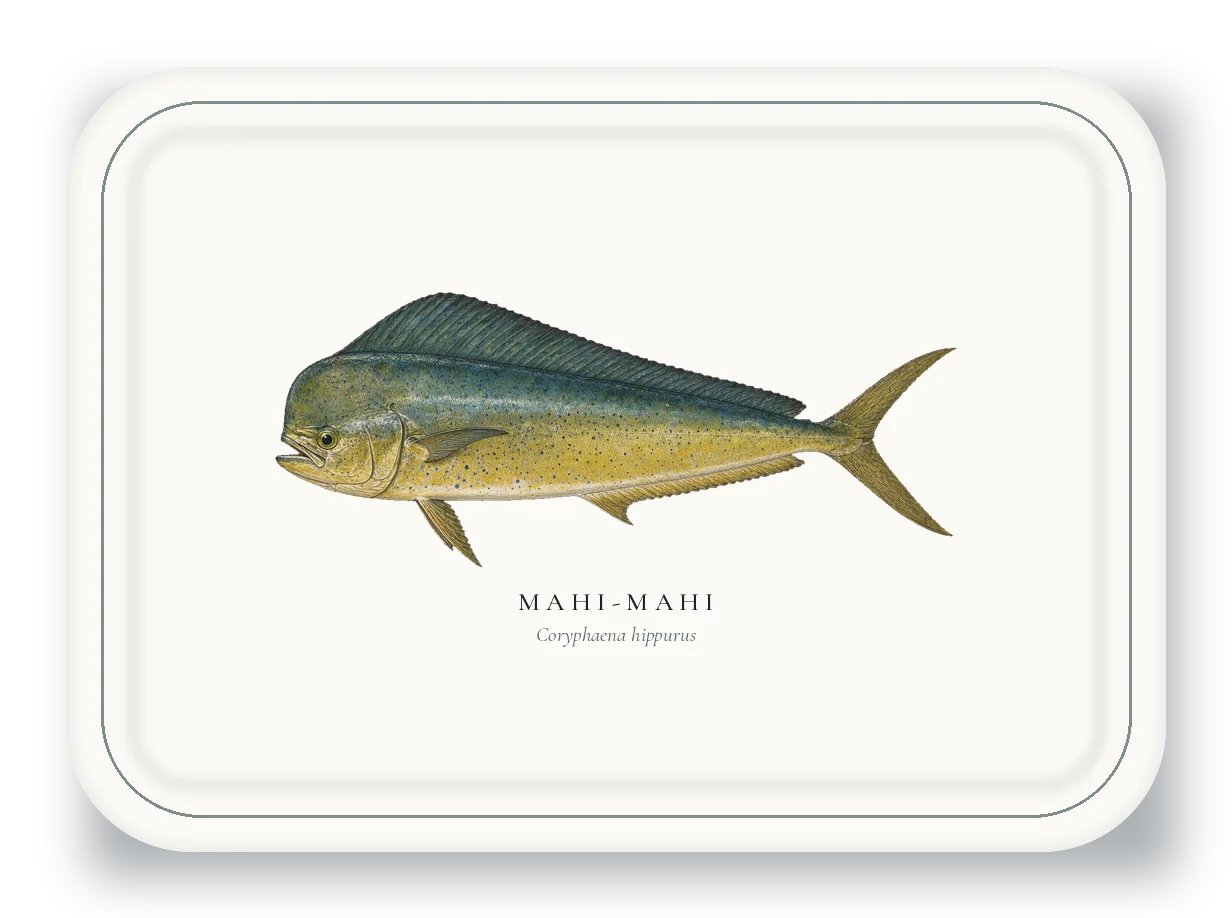 Serving Platter with Mahi-mahi illustration