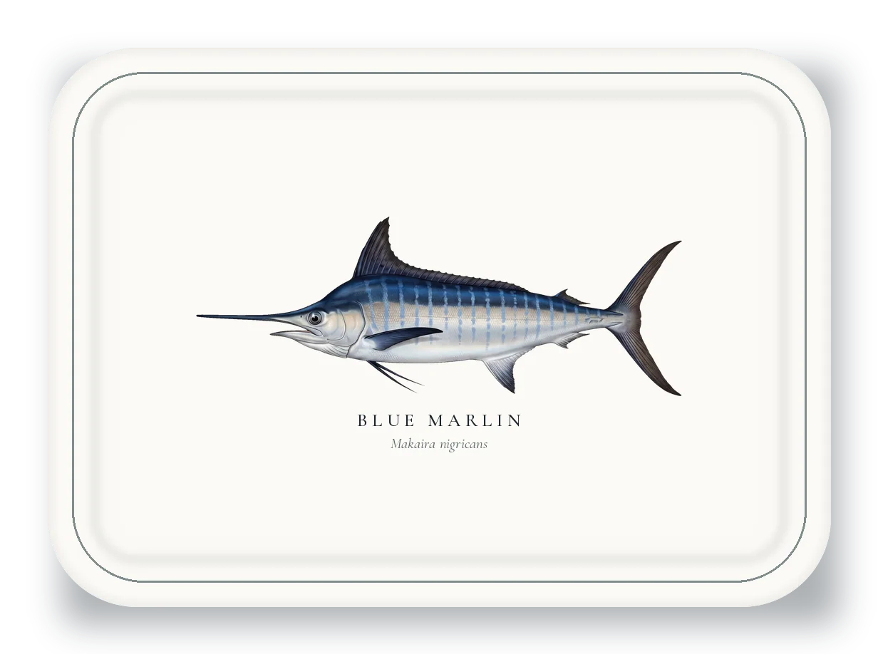 Serving Platter with Blue Marlin illustration