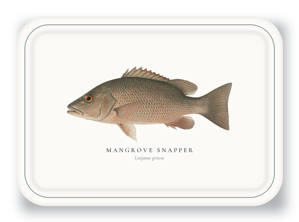 Serving Platter with Mangrove Snapper illustration
