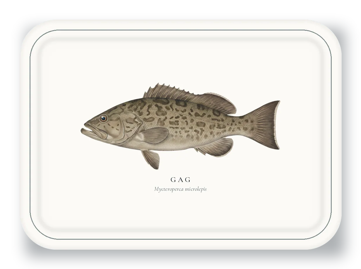 Serving Platter with Gag illustration