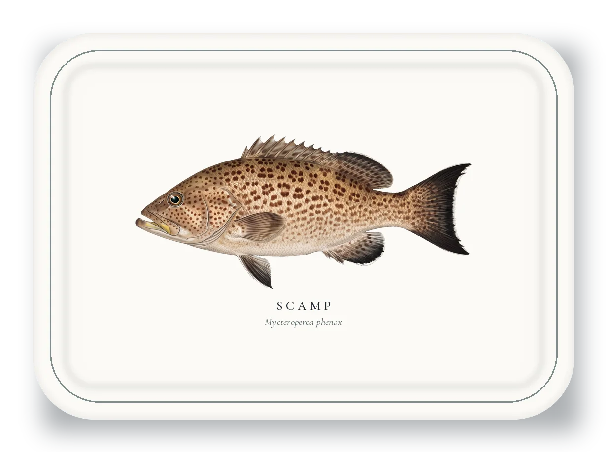Serving Platter with Scamp illustration