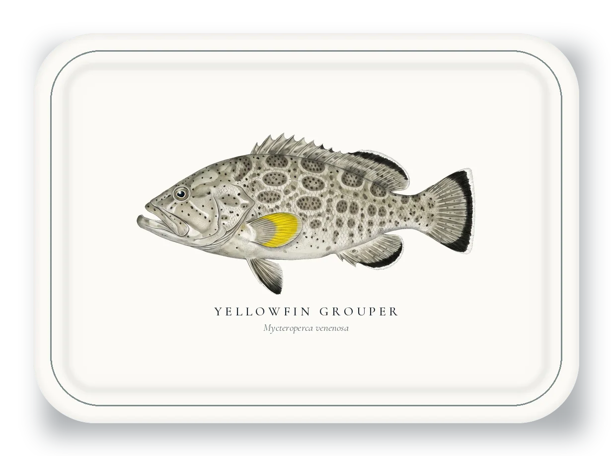 Serving Platter with Yellowfin Grouper illustration