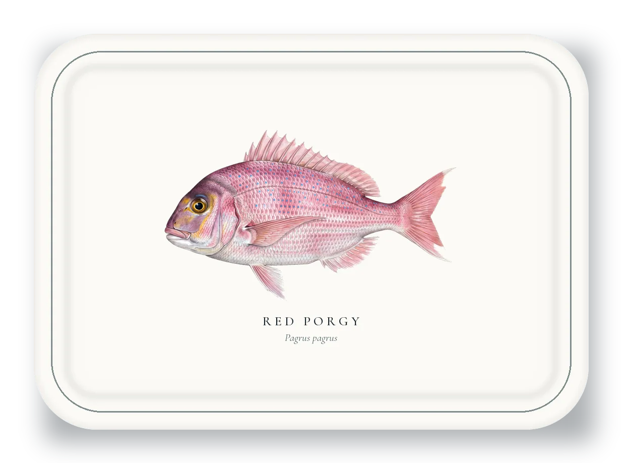Serving Platter with Red Porgy illustration