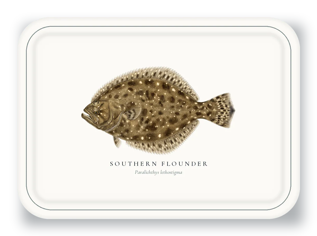 Serving Platter with Southern Flounder illustration