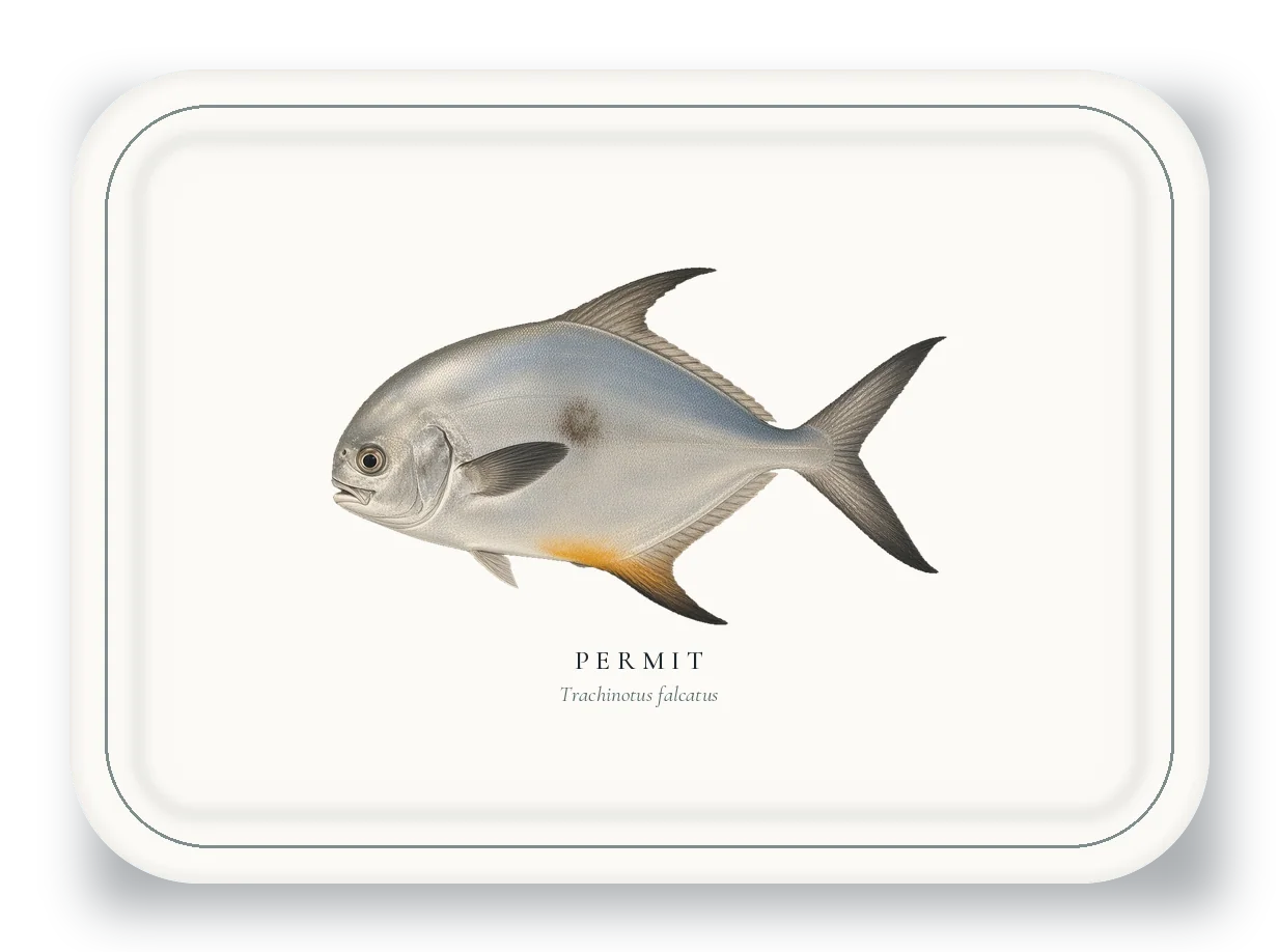 Serving Platter with Permit illustration
