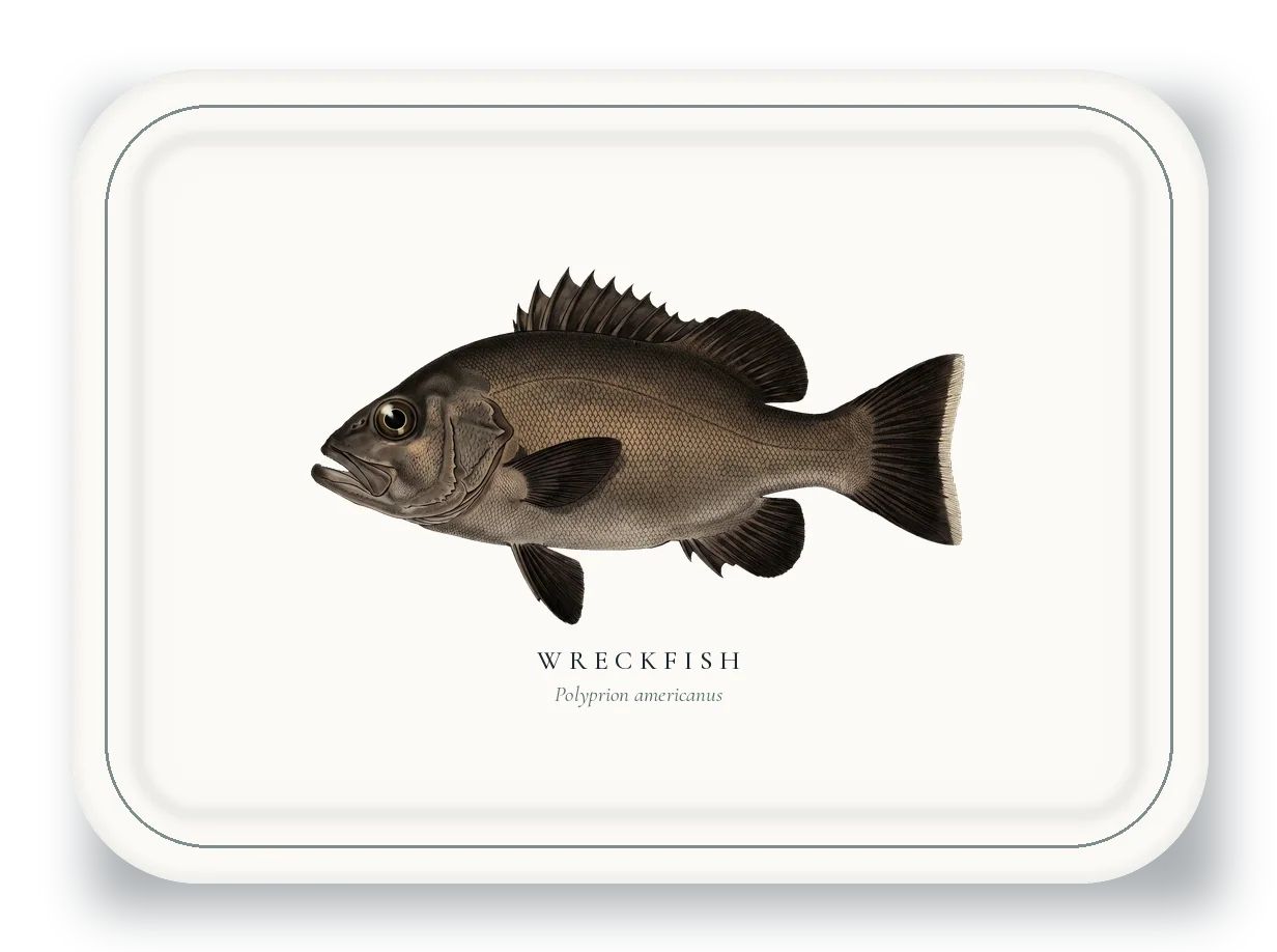 Serving Platter with Wreckfish illustration