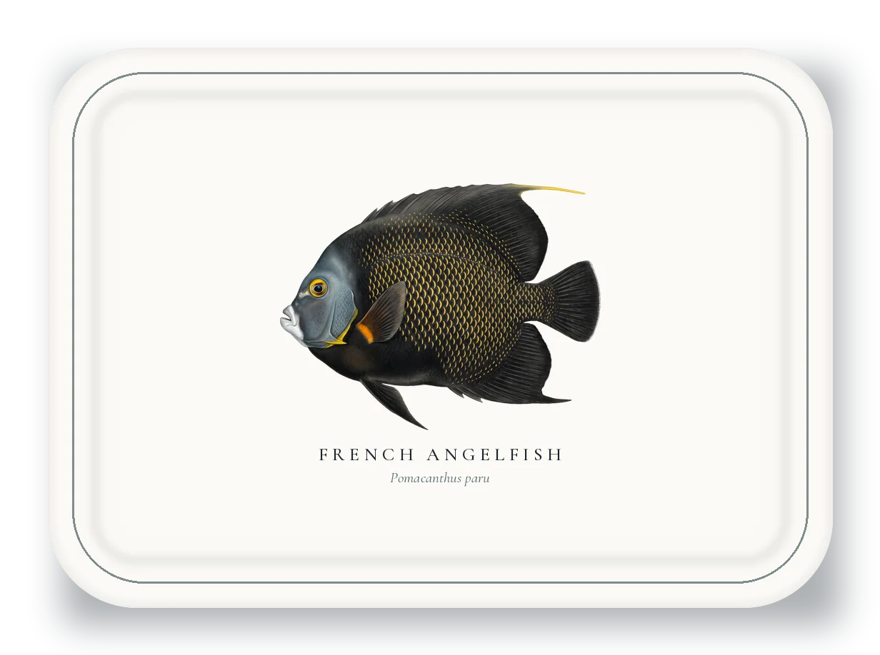 Serving Platter with French Angelfish illustration