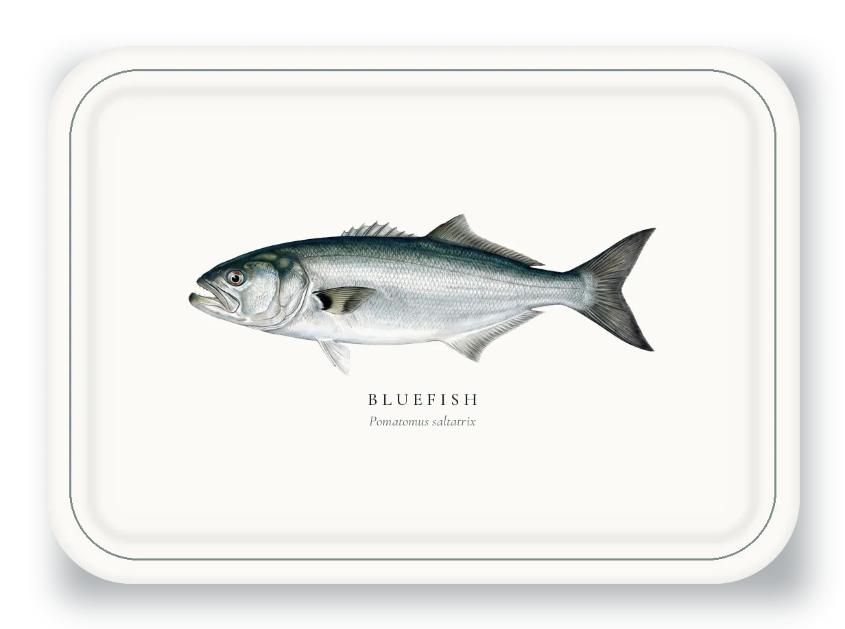 Serving Platter with Bluefish illustration