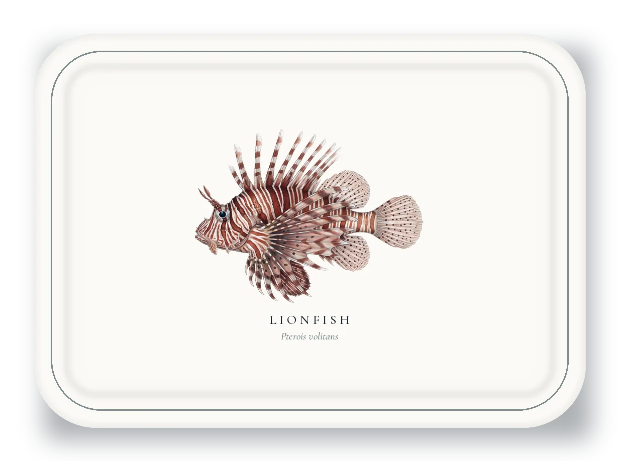 Serving Platter with Lionfish illustration