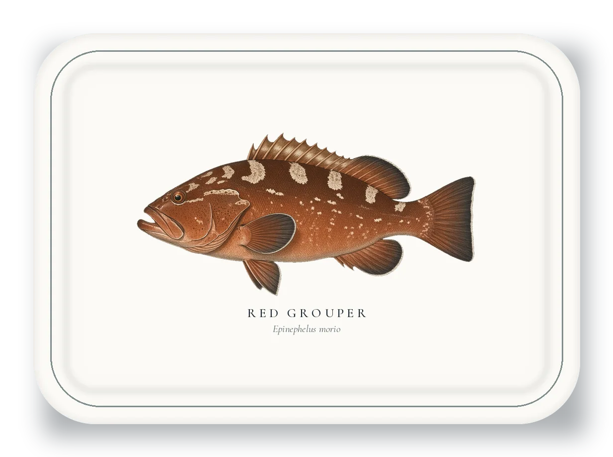 Serving Platter with a Red Grouper illustration