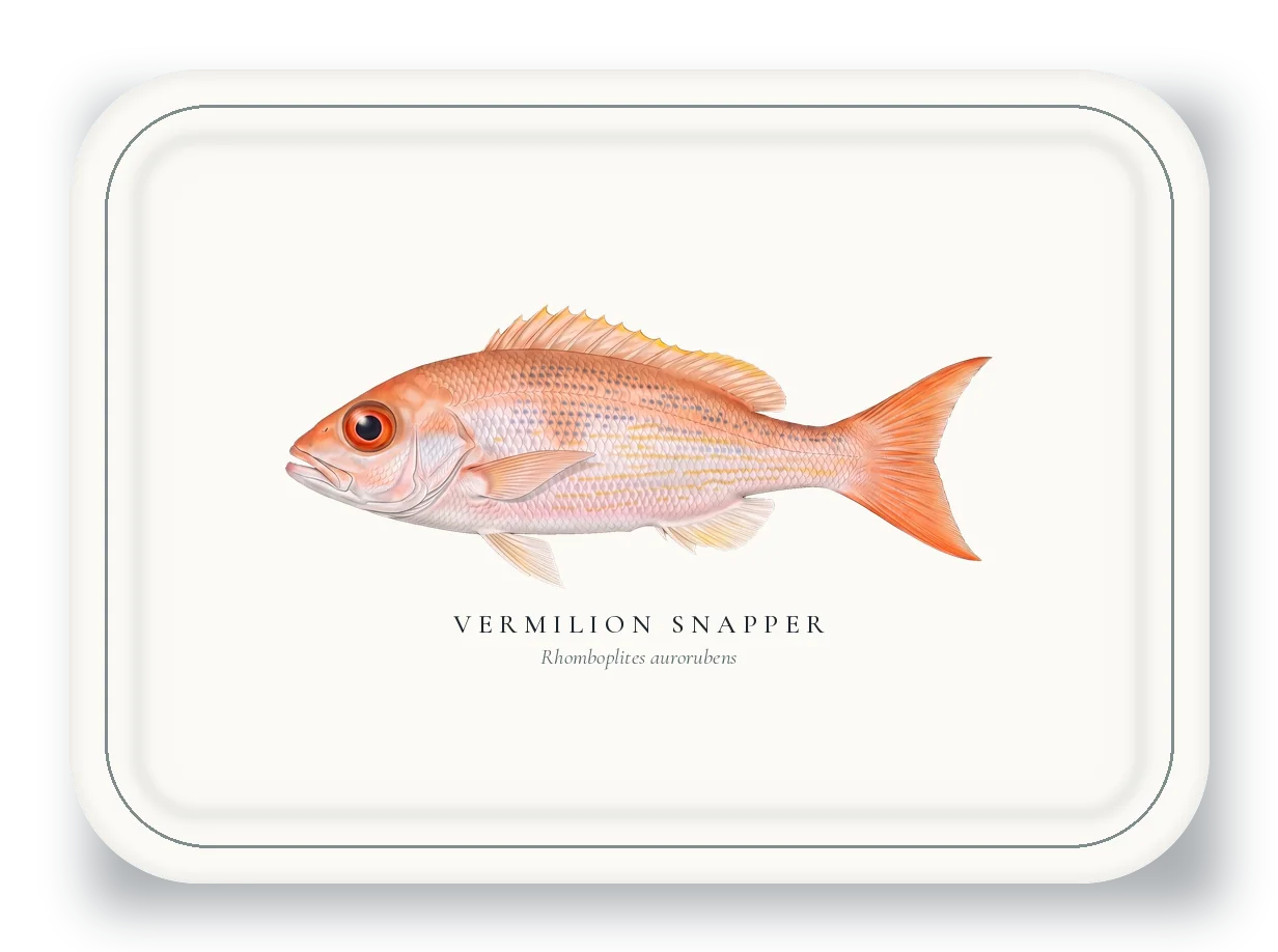 Serving Platter with Vermilion Snapper illustration