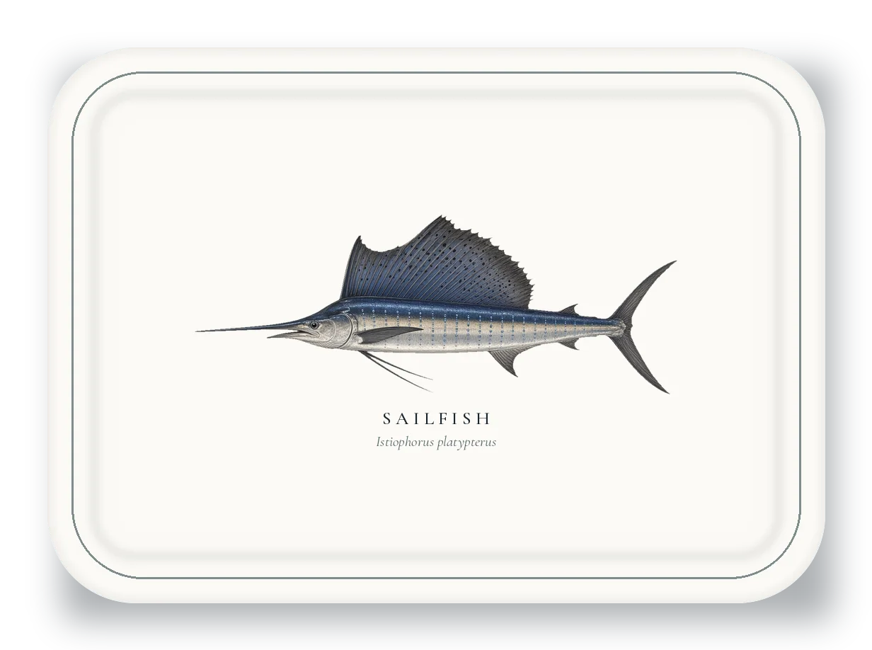 Serving Platter with Sailfish illustration