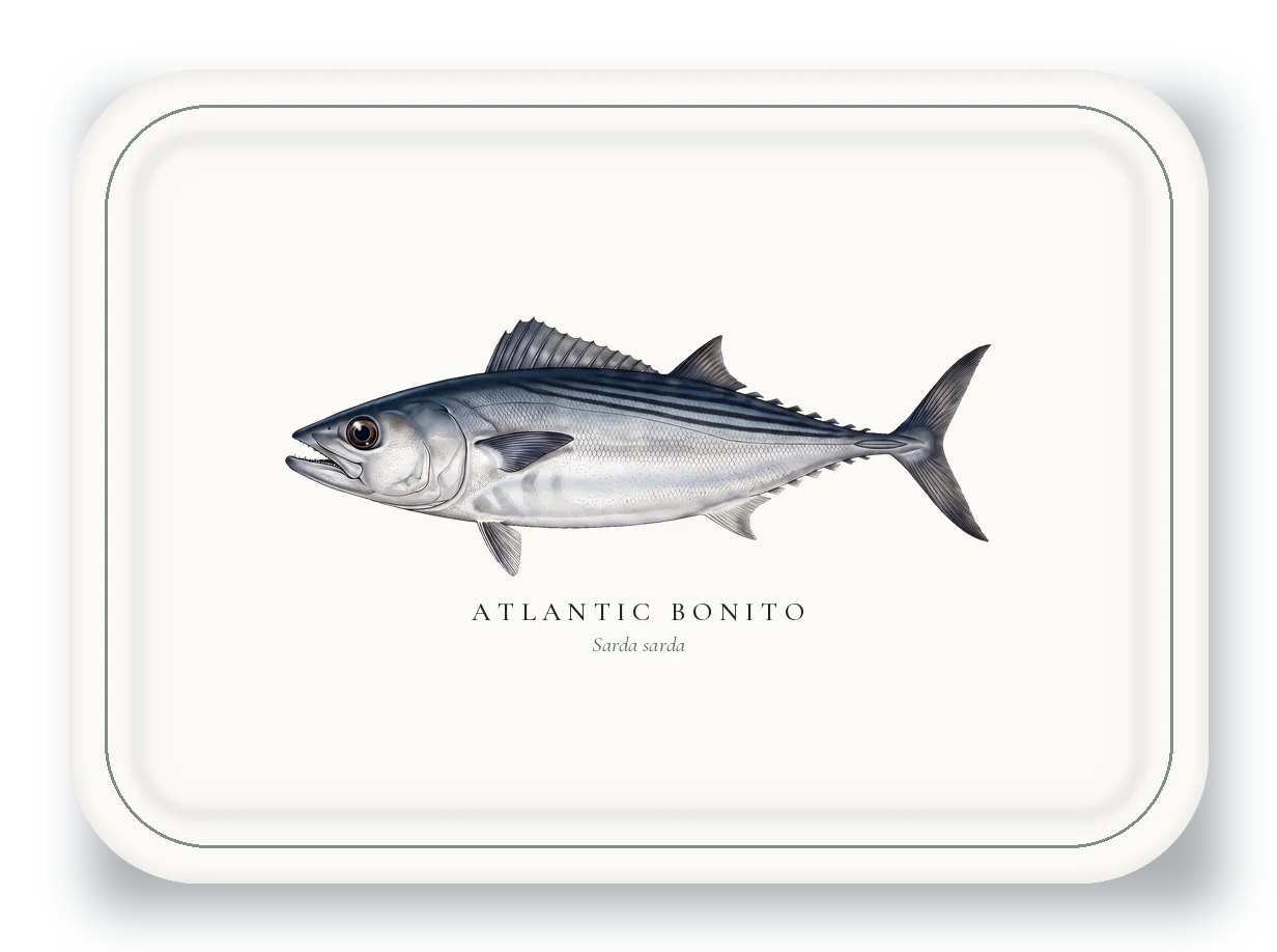 Serving Platter with Atlantic Bonito illustration