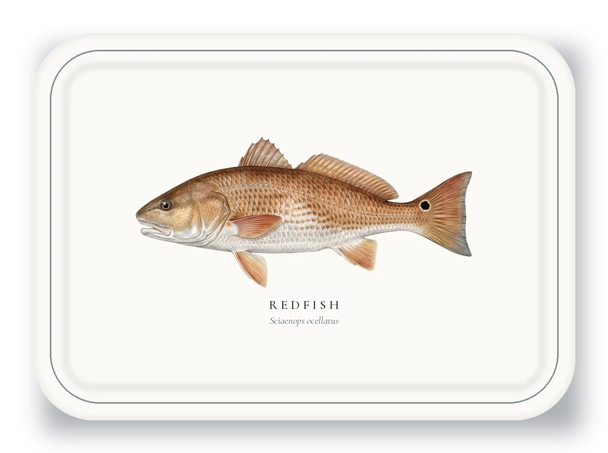 Serving Platter with Redfish illustration