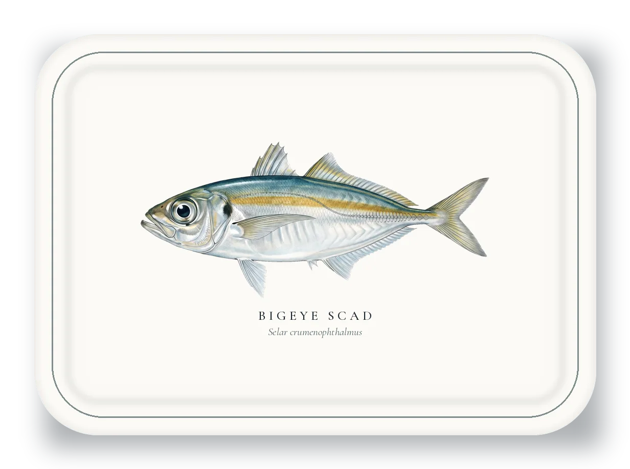 Serving Platter with Bigeye Scad illustration