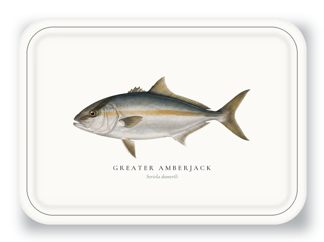 Serving Platter with Greater Amberjack illustration