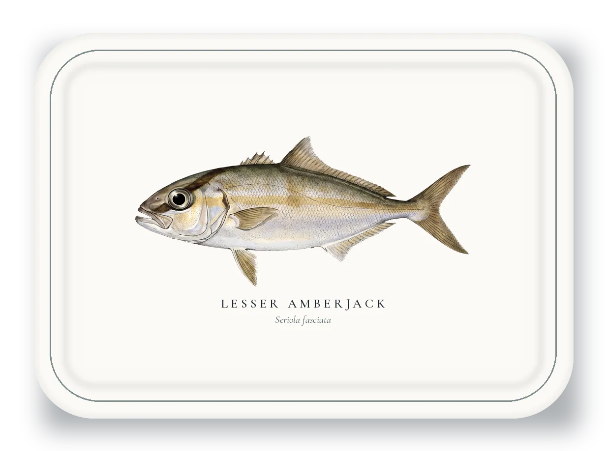 Serving Platter with Lesser Amberjack illustration