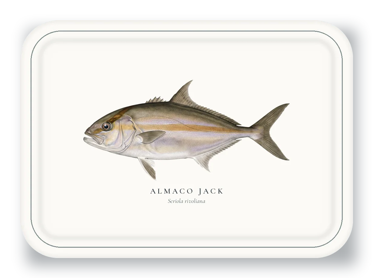 Serving Platter with Almaco Jack illustration