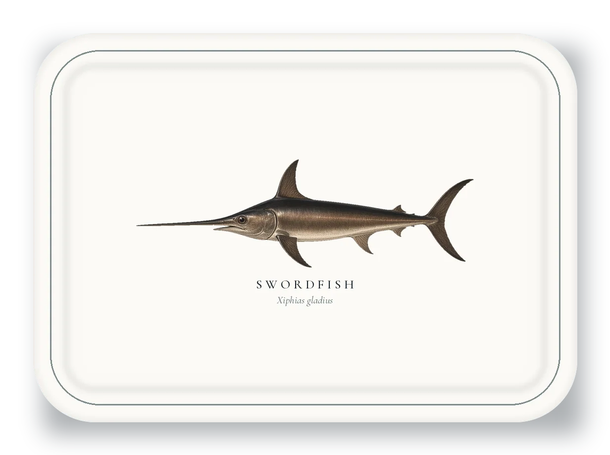 Serving Platter with Swordfish illustration