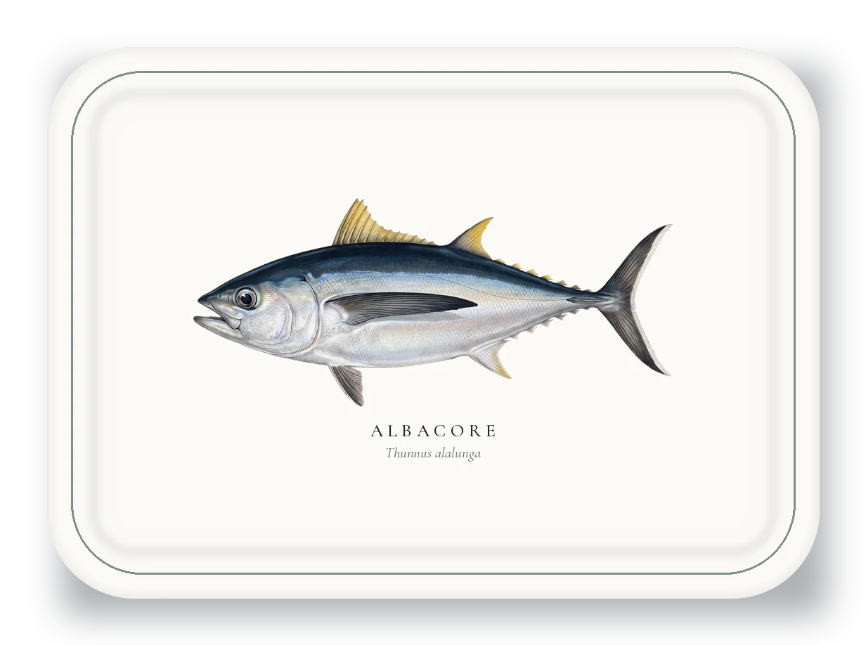 Serving Platter with Albacore illustration
