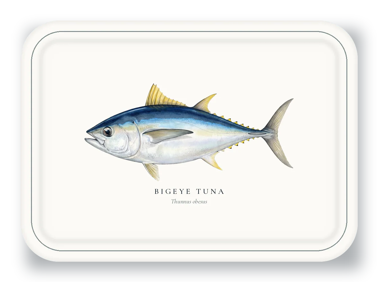 Serving Platter with Bigeye Tuna illustration