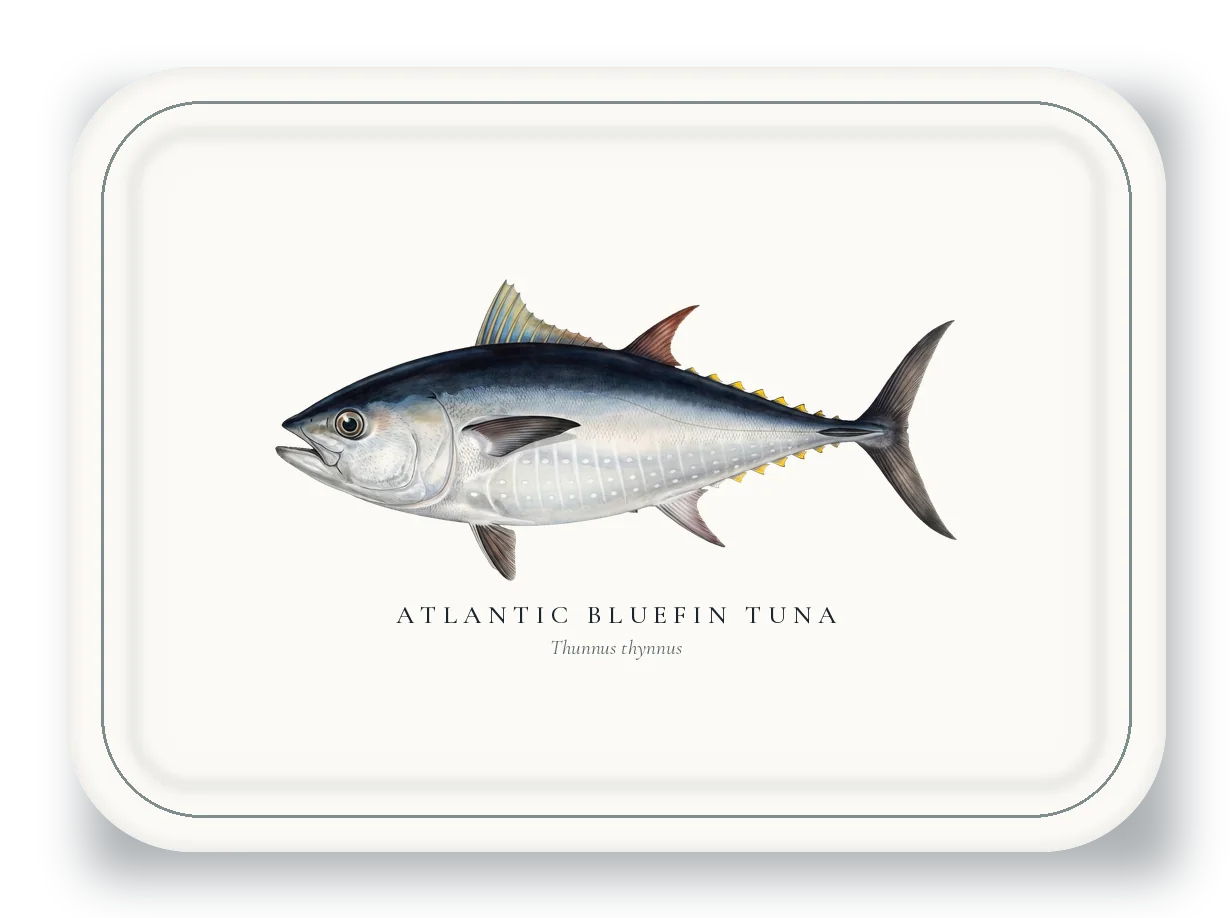 Serving Platter with Atlantic Bluefin Tuna illustration