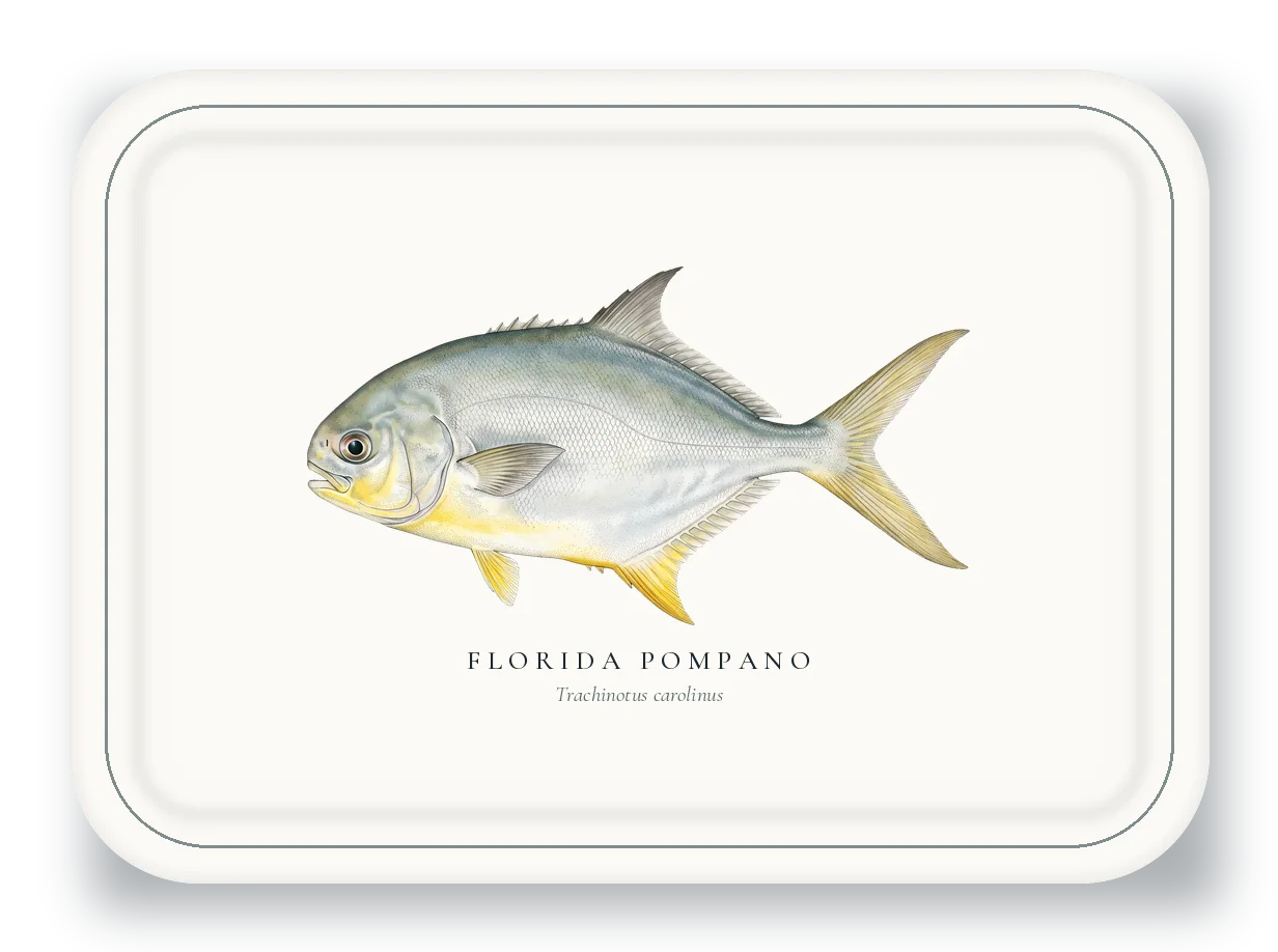 Serving Platter with Florida Pompano illustration